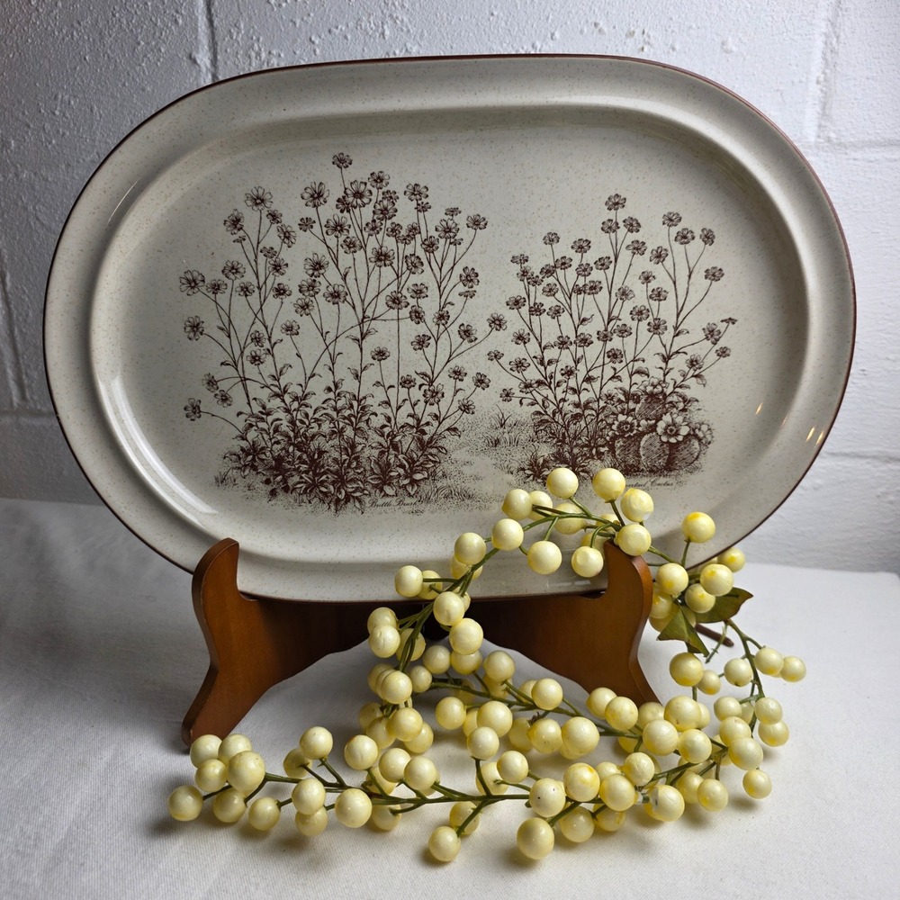 70s Noritake Stoneware Desert Flowers 8341 Oval Serving Platter